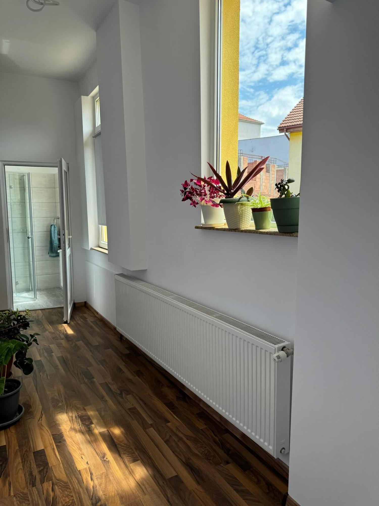 Apartament Victoria Timişoara Buitenkant foto